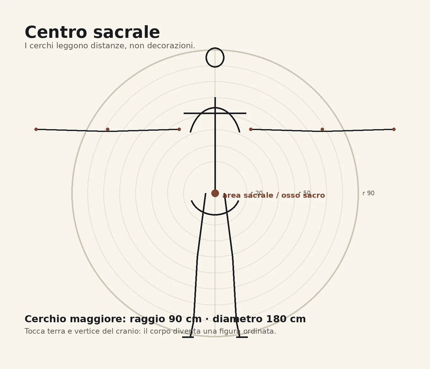 Cerchi concentrici con centro nell area sacrale e diametro 180 cm